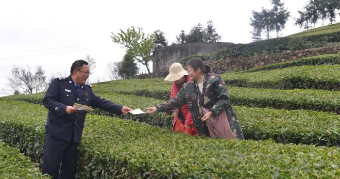 关于宜昌五峰交警走进茶园 向茶农发放交通安全宣传册的热门消息