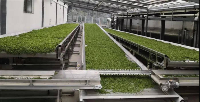 关于“数字化”已成年度高频词汇，茶产业如何乘势数字浪潮？的热门新闻