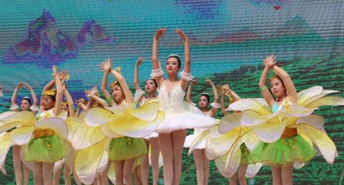 有关于第十届福鼎白茶开茶节在点头镇观洋村举行的热门信息(3)