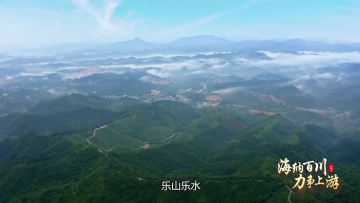 关于为何当初六堡茶能从梧州走向世界？这个视频给你答案的热门信息(2)