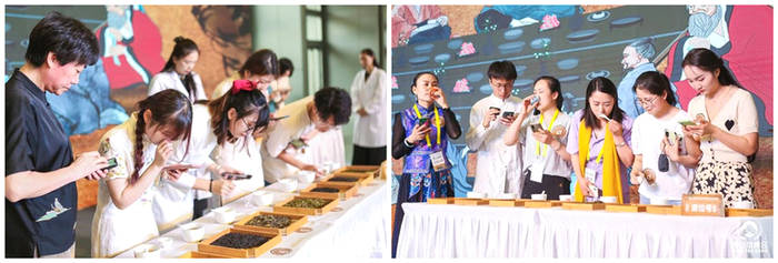 有关于“茶界盛会共谋“十四五”茶发展”“湘西黄金茶助推百亿茶产业”“茶博会如何讨好年轻人”的热门资讯(8)