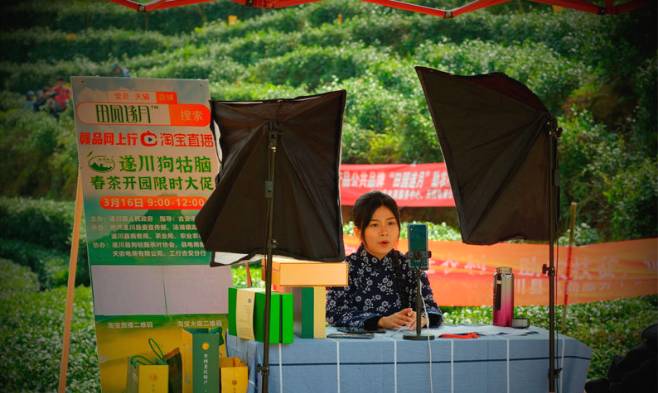 有关于江西汤湖镇:“狗牯脑”茶开园节 28万亩春茶开采的最新资讯(1)