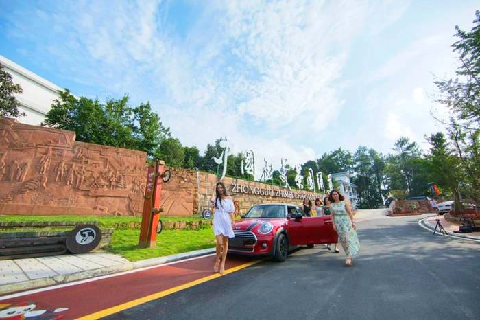 有关于围观2021年度雅安“最美农村公路”——中国至美茶园绿道的最新消息(5)