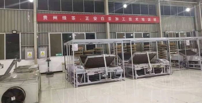 关于面对面交流 手把手传授 贵州绿茶·正安白茶加工技术培训班在正安县开班的热门消息(2)