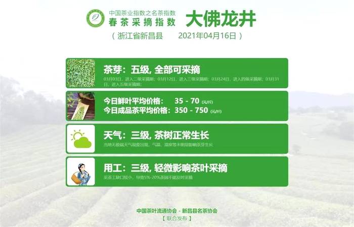 有关于【春茶采摘指数】尽享武夷风韵,武夷岩茶(黄观音)正式开采!的热门消息(1)