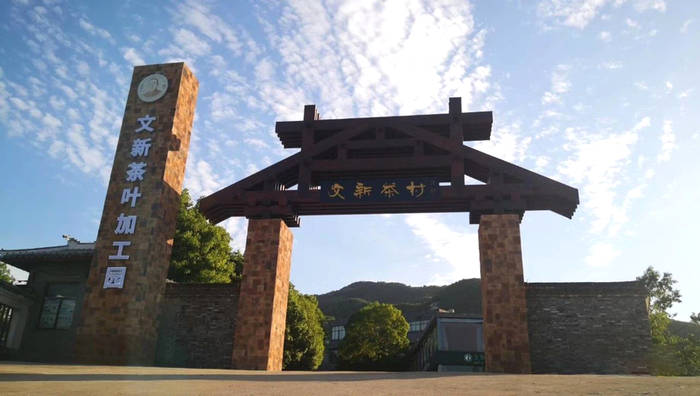 关于绿色发展 美好生活 文新茶村欢迎您来看中国最美茶园的信息