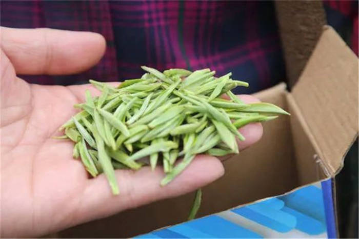 关于四川万源市30万亩明前茶开采 巴山富硒茶叶满屋飘香的消息(3)