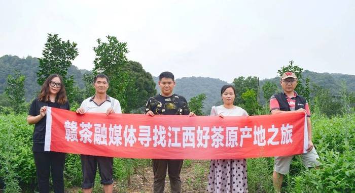 关于带你寻遍江西好茶，赣茶 · 年终回顾系列之一 · 寻茶记的新闻(18)