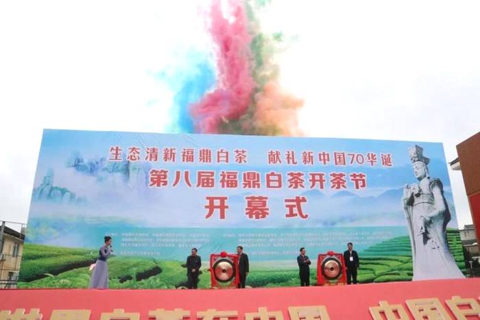 关于第十届福鼎白茶开茶节将于3月28日举办的热门新闻(4)