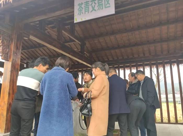 有关于浙江开化：茶香季 致富季 池淮茶青交易市场正式开市啦！的信息(1)