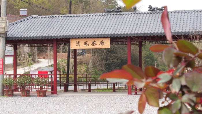 有关于湖北南漳：茶山变金山 茶园变景区 乡村振兴前景美的资讯(3)
