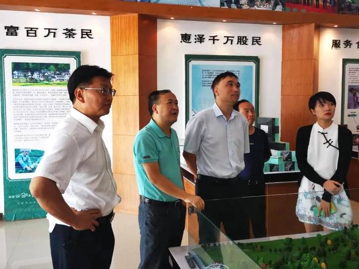 关于中农促茶委会一行赴贵州省黔南州调研茶产业发展的资讯(1)