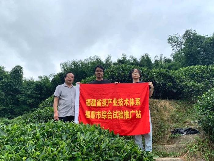 有关于福建省现代茶业产业技术体系福鼎综合试验站开展调研指导工作的资讯(3)