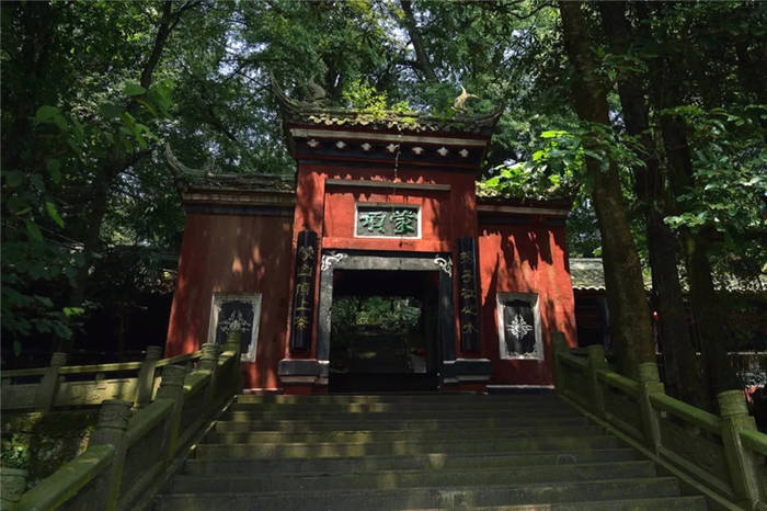 关于坐拥万亩茶田,来四川雅安解锁春日限定耍法的最新信息(7)