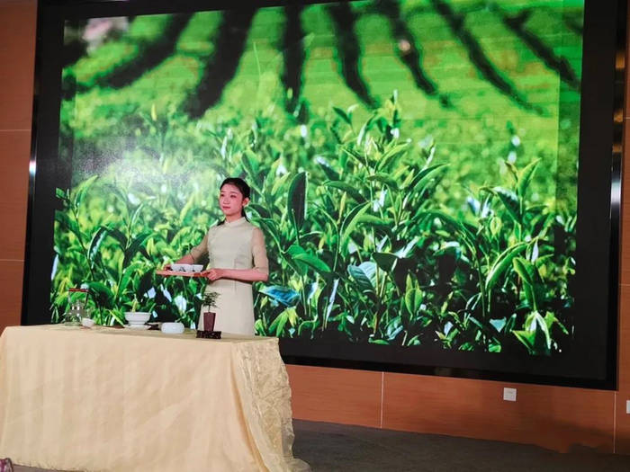 关于以茶育人 让校园成为茶文化推广的主阵地的热门新闻(3)