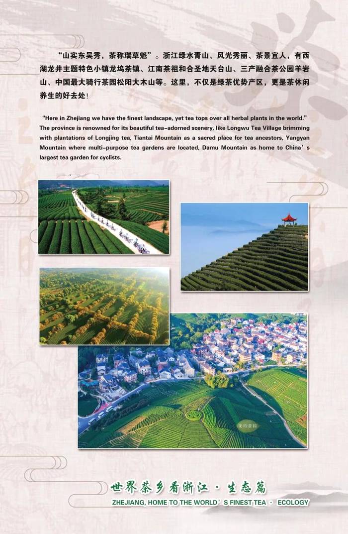 有关于名茶荟萃，等你来“浙”！第四届中国国际茶叶博览会之浙江馆风采的新闻(4)