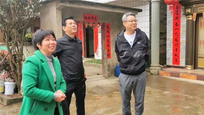 关于小茶叶大文章 广西投资集团领导调研梧州六堡茶产业的最新信息