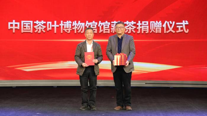 关于习总书记关注的赤溪村，依托白茶产业大变样！的新闻(7)