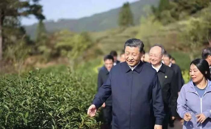 有关于《中国茶全书·四川卷》工作组一行走进湖南长沙参观考察的热门新闻