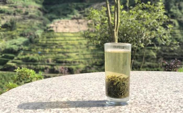 有关于福建省委书记尹力：茶叶是福建的一张名片的热门消息(2)