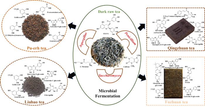 有关于[科研进展] 黑茶化学成分研究取得新进展的最新信息(3)