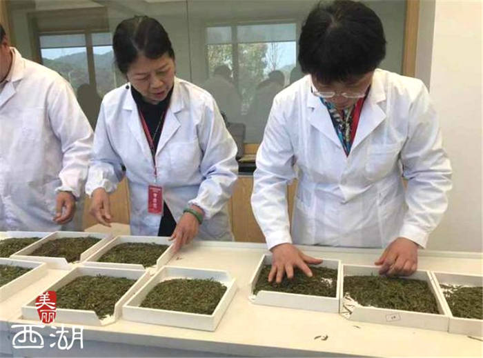 关于“新科炒茶王”花落外桐坞！00后炒茶“后浪”们来了的最新资讯(5)