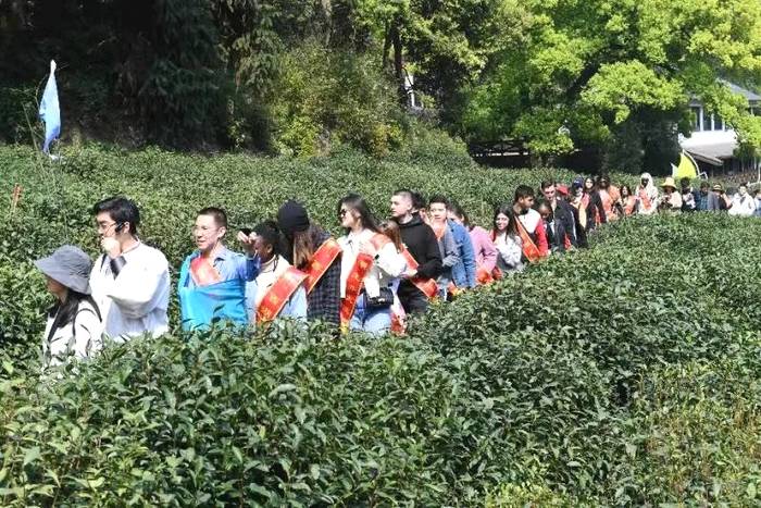 关于“一带一路”留学生西湖龙井研学班走进狮牌的热门资讯(2)