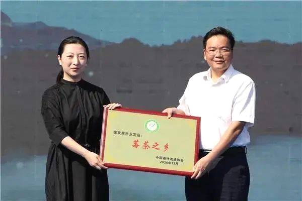 有关于中茶协支持张家界永定区以莓茶特色产业助力乡村振兴发展的资讯(1)