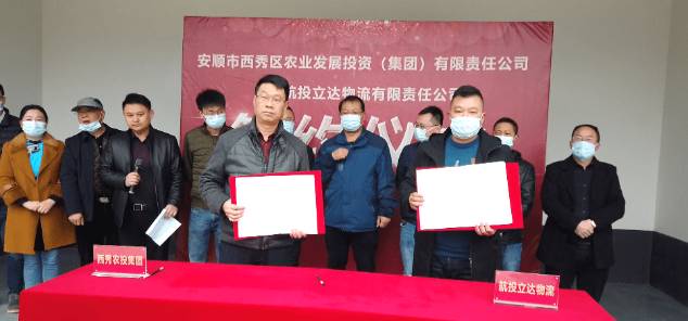 关于西秀区：14.25万亩投产茶园陆续吐露新芽 的热门消息(3)