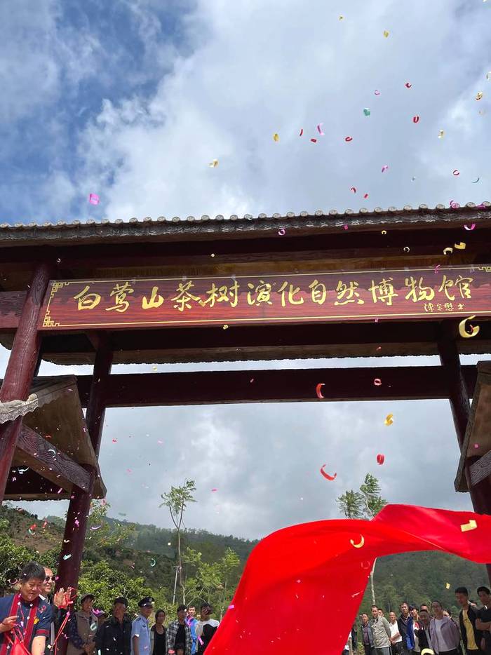 关于中国首家茶树演化自然博物馆在临沧白莺山挂牌的资讯(6)