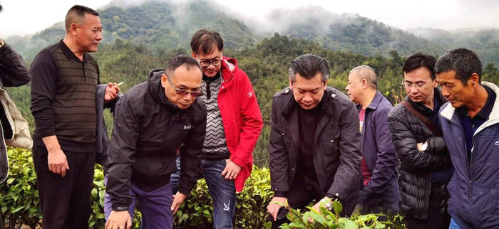 关于东莞茶协考察粤北茶区 振兴“粤茶”要唱响东莞声音的最新消息(1)
