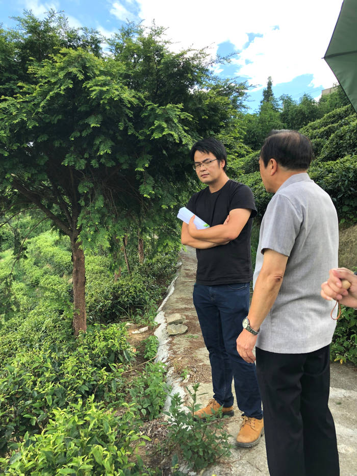 有关于福建省现代茶业产业技术体系福鼎综合试验站开展调研指导工作的资讯