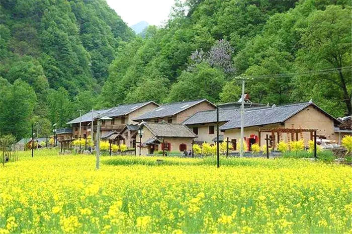 有关于2021年农业农村部重点扶持这样28个项目的最新信息(7)