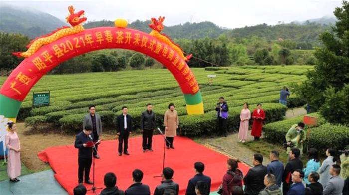 关于一周茶事｜数字化系统护西湖龙井开采 ；农夫山泉创“泡茶水”新标准的热门新闻(5)