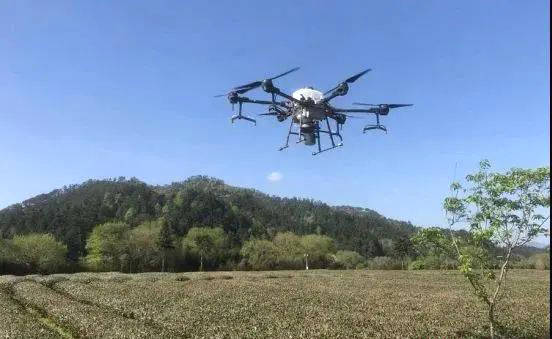 有关于无人机播撒捕食螨 助福建武夷山茶园绿色防控的信息(1)