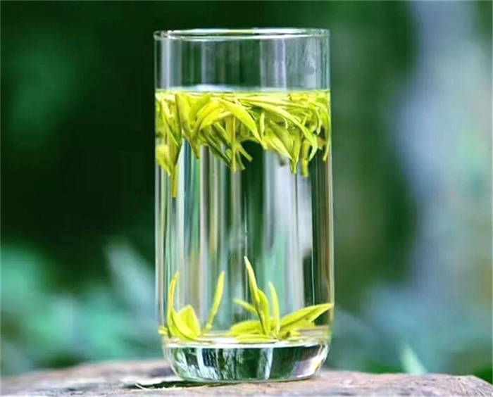 有关于四川巴中：南江县稳步推动“小茶叶”变“大产业” 的热门消息