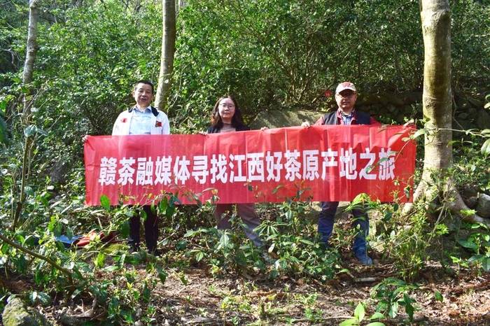 关于带你寻遍江西好茶，赣茶 · 年终回顾系列之一 · 寻茶记的新闻(2)