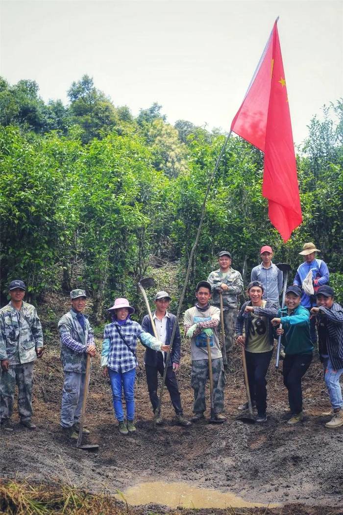 关于曼冈青年 助力打造鹿塘山生态茶园样板区的热门消息(7)