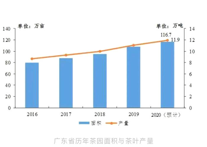 有关于2020年广东省茶叶产销形势分析报告出炉的信息