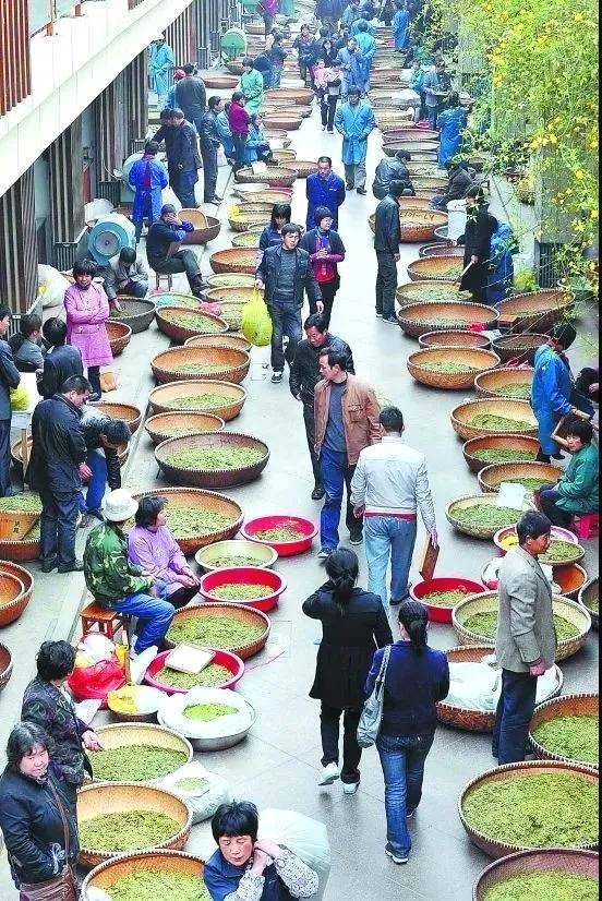 关于国内茶品牌 居深山，心自在——大佛龙井品牌创意解读的最新资讯(5)