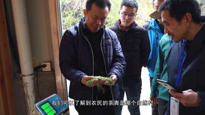 关于福鼎白茶大数据溯源平台正式运行，听听茶农茶企都是怎么说！的热门新闻(11)