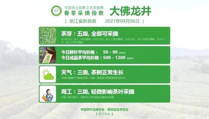 关于太平猴魁采摘其到来！洞庭山碧螺春、湄潭翠芽、黄山毛峰进入五级采摘期的新闻(3)