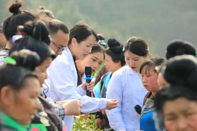 有关于采摘也要标准化-丹寨开展“双手采茶”培训的热门信息(3)