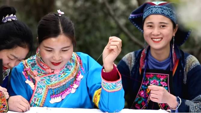 有关于普安县18.3万亩茶山 茶园百花开 花中采春茶的热门资讯