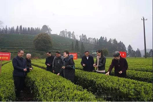 关于"多矿物质营养茶"在“中国硒乡”湖南桃源研究成功的最新资讯(2)