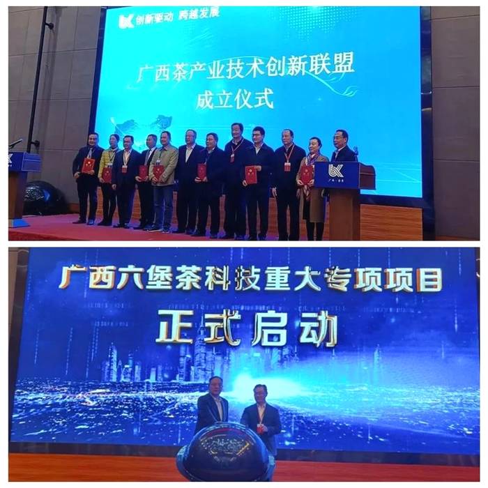 关于2020下半年六堡茶产业持续发力，这些热点你都关注了吗？的热门资讯(8)