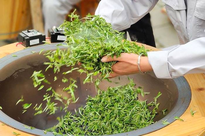 关于56000次采摘方得1斤!火出国门的三峡毛尖,天然清香!的最新资讯(15)