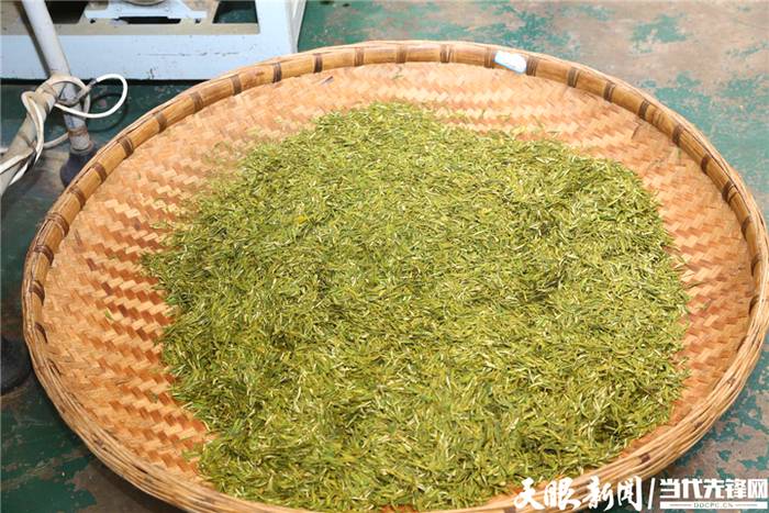 关于六盘水市水城区：打造富民产，固脱贫助振兴的热门消息(4)