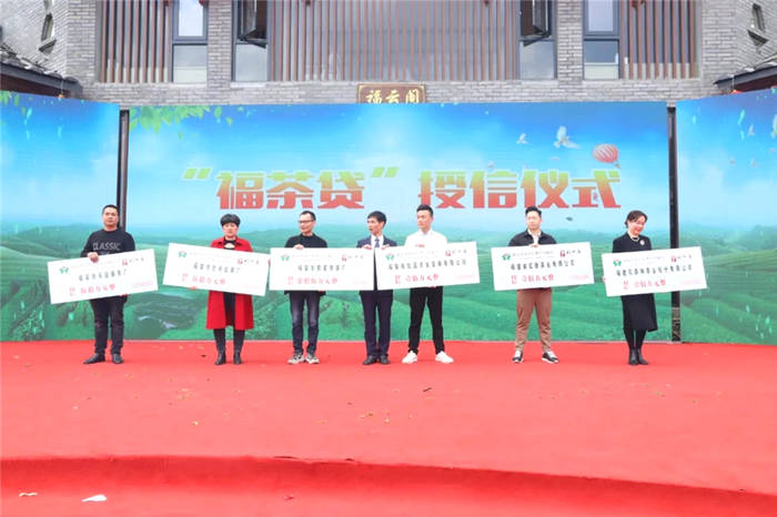 关于“坦洋工夫”春茶正当时，科技力量创良好开局的热门资讯(3)