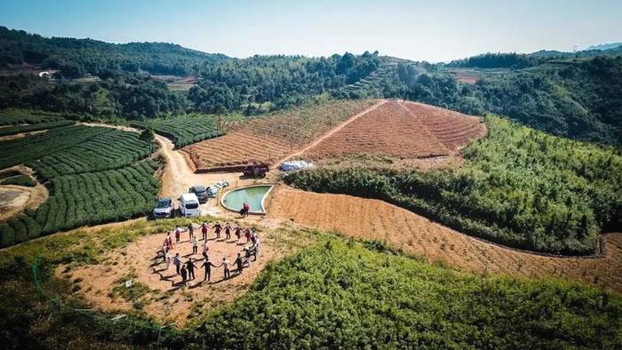 有关于一片茶叶，成就一个产业！2021年中央一号文件提出：发展绿色有机农产品…的新闻(2)